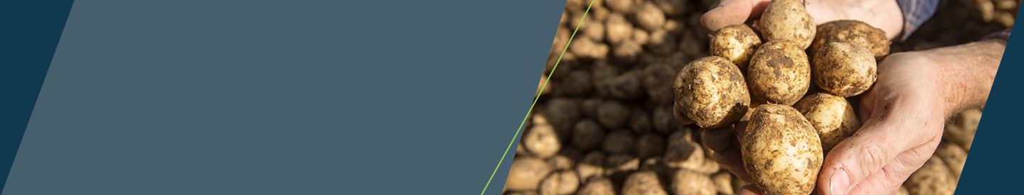 Key visual med kartofler